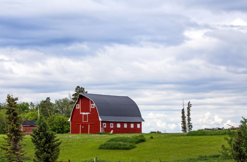 Barn Renovation in Overland Park, KS