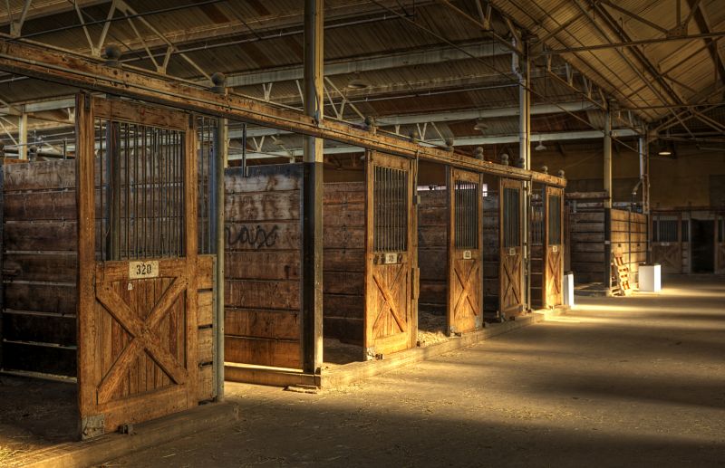Horse Shelter Construction in Conroe, TX