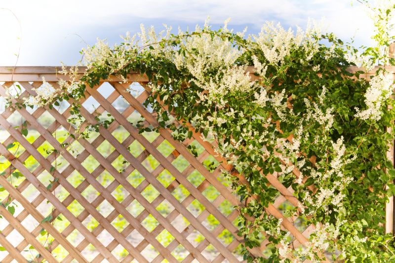 Lattice Arbor Installation in Wilmington, NC