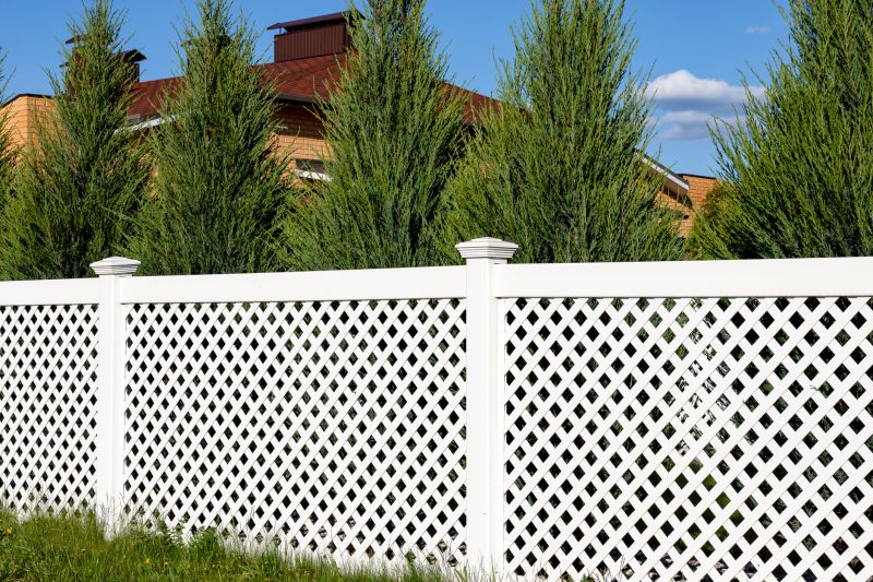 Vineyard Trellis Installation in Conroe, TX