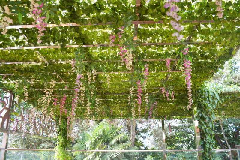 Vineyard Trellis Installation in Wilmington, NC