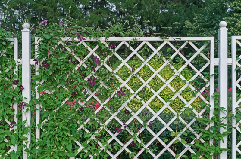 Wood Trellis Installation in Conroe, TX